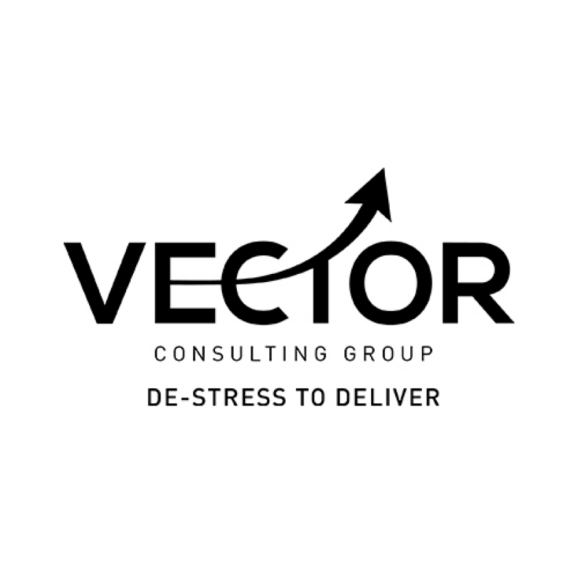 Vector Consulting Group