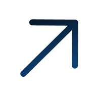 Website Development